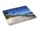 us1011_unisub_placemat